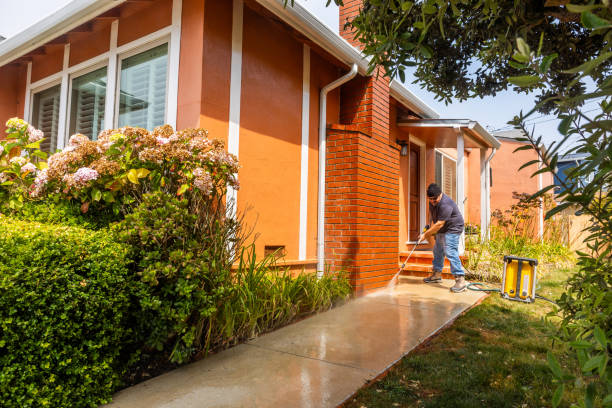 Best Pressure Washing Patio  in Hickory Hls, IL